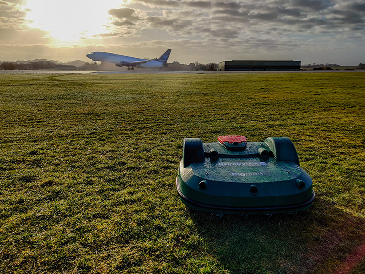 Robotic mowing leads to significant decrease in bird and mammal presence and, therefore, reduces bird strikes